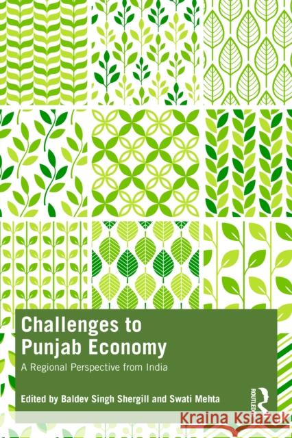 Challenges to Punjab Economy: A Regional Perspective from India Baldev Singh Shergill Swati Mehta 9781032378633 Routledge India