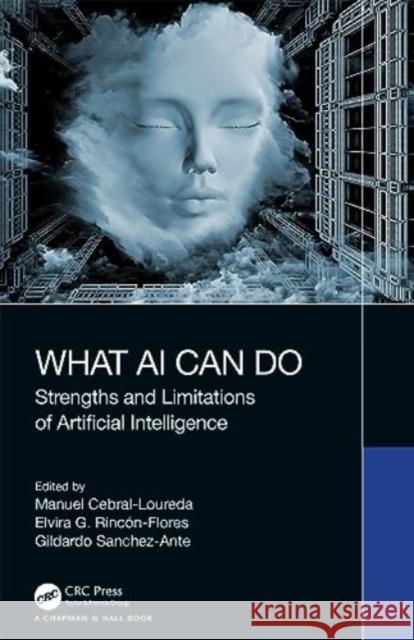 What AI Can Do Manuel Cebral-Loureda Elvira G. Rinc?n-Flores Gildardo Sanchez-Ante 9781032395999 CRC Press