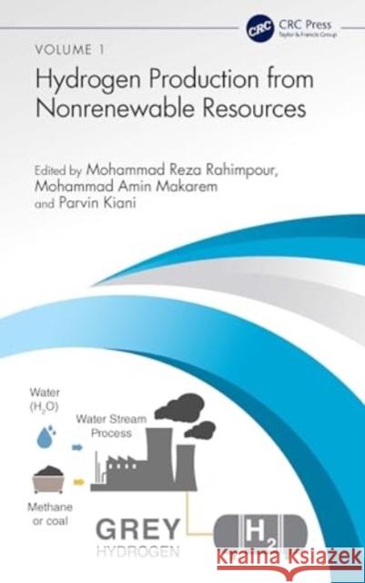 Hydrogen Production from Nonrenewable Resources Mohammad Reza Rahimpour Mohammad Amin Makarem Parvin Kiani 9781032465586 CRC Press