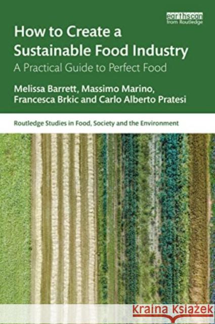 How to Create a Sustainable Food Industry Carlo Alberto Pratesi 9781032516882 Taylor & Francis Ltd