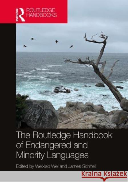 The Routledge Handbook of Endangered and Minority Languages Weixiao Wei James Schnell 9781032574288 Routledge