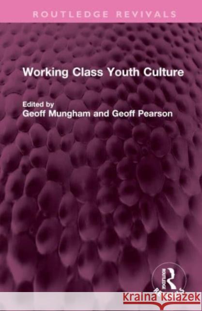 Working Class Youth Culture  9781032606972 Taylor & Francis Ltd