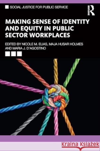 Making Sense of Identity and Equity in Public Sector Workplaces Nicole M. Elias Maja Husar Holmes Maria J. D'Agostino 9781032869520 Routledge