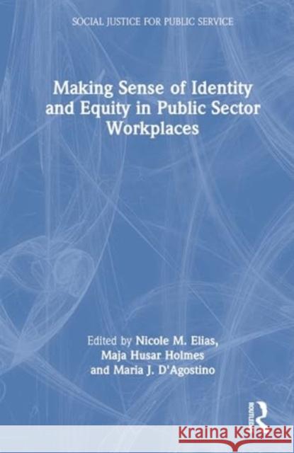 Making Sense of Identity and Equity in Public Sector Workplaces Nicole M. Elias Maja Husar Holmes Maria J. D'Agostino 9781032869568 Routledge