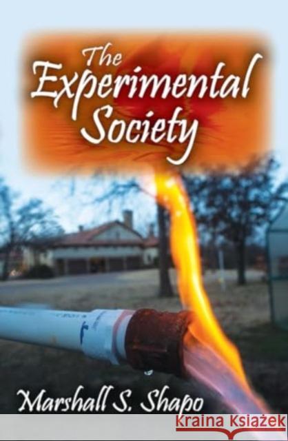 The Experimental Society Marshall S. Shapo 9781032920450