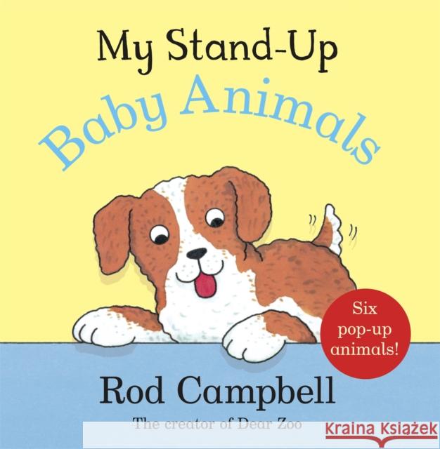 My Stand-Up Baby Animals: A Pop-Up Animal Book Rod Campbell 9781035004225 Pan Macmillan