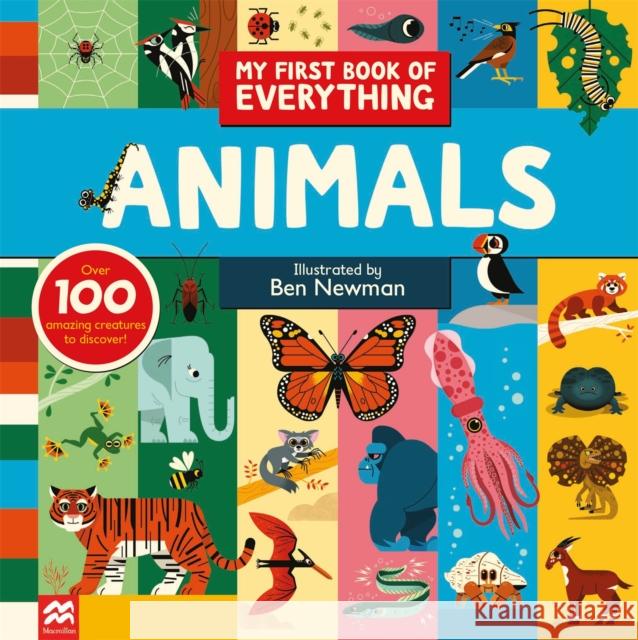 My First Book of Everything: Animals Ben Newman 9781035018840