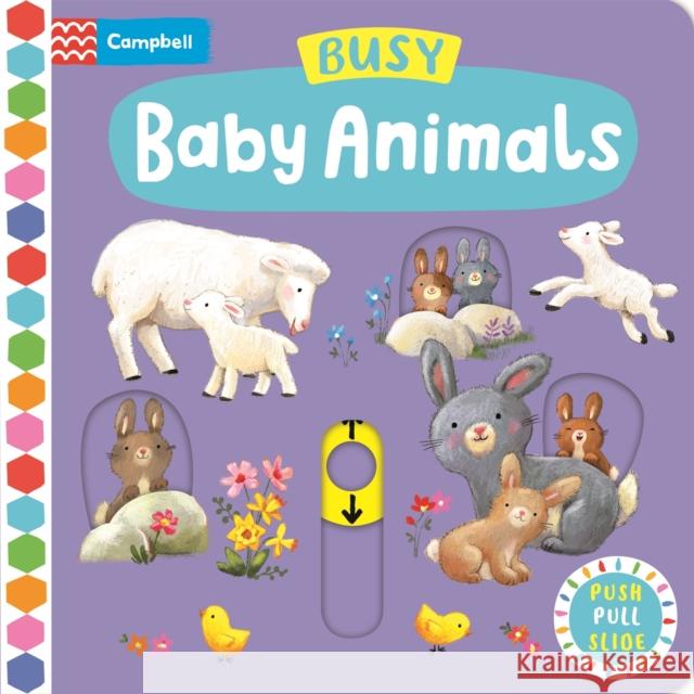 Busy Baby Animals: A Push, Pull, Slide Book Ag Jatkowska 9781035024506