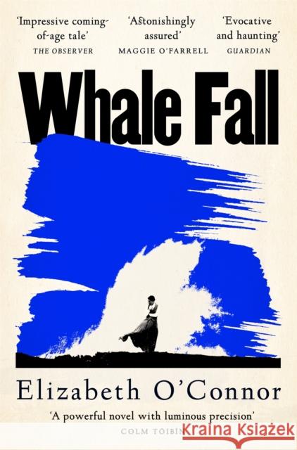 Whale Fall Elizabeth O'Connor 9781035024766