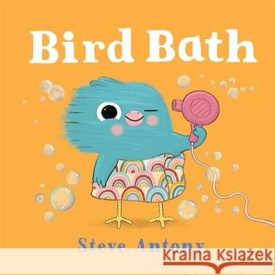 Bird Bath Antony, Steve 9781035028993 Pan Macmillan