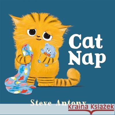 Cat Nap Antony, Steve 9781035029020 Pan Macmillan