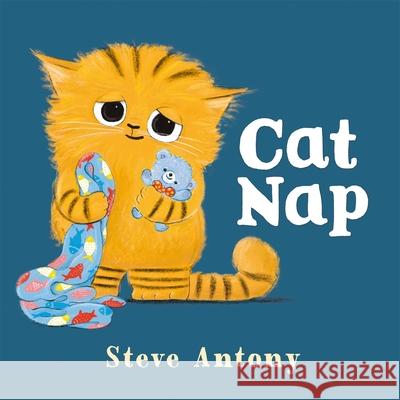 Cat Nap Antony, Steve 9781035029020