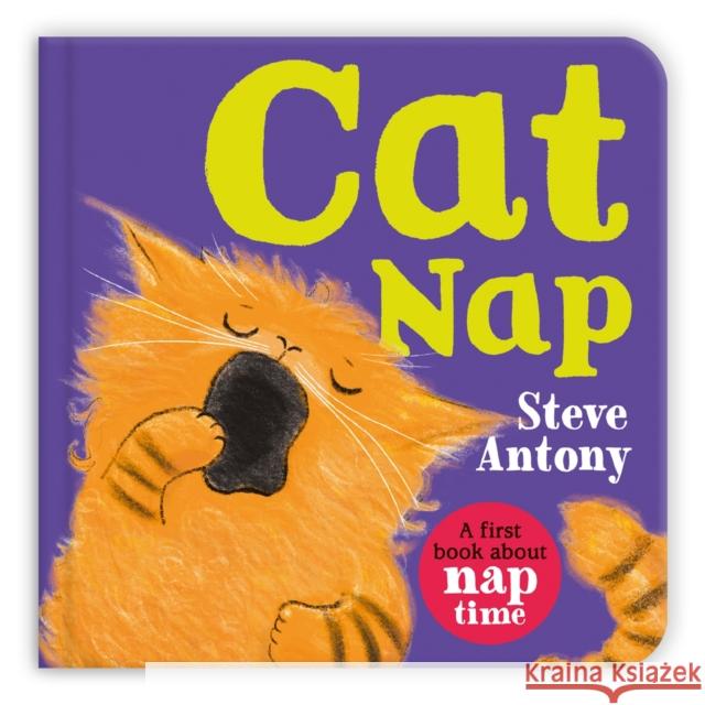 Cat Nap: A First Book About Naptime Antony, Steve 9781035029037