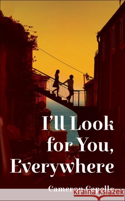 I'll Look for You, Everywhere Cameron Capello 9781035035892 Pan Macmillan