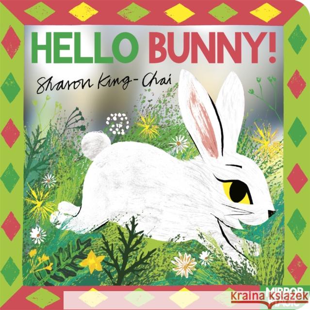 Hello Bunny!: A mirror search-and-find Sharon King-Chai 9781035038275