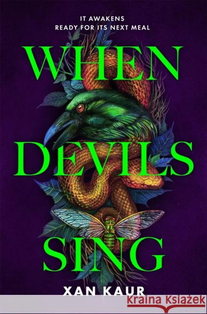 When Devils Sing Xan Kaur 9781035045174