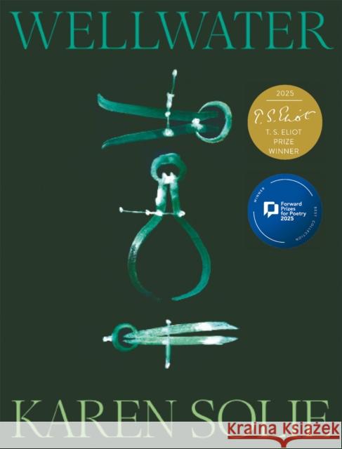 Wellwater Karen Solie 9781035048182