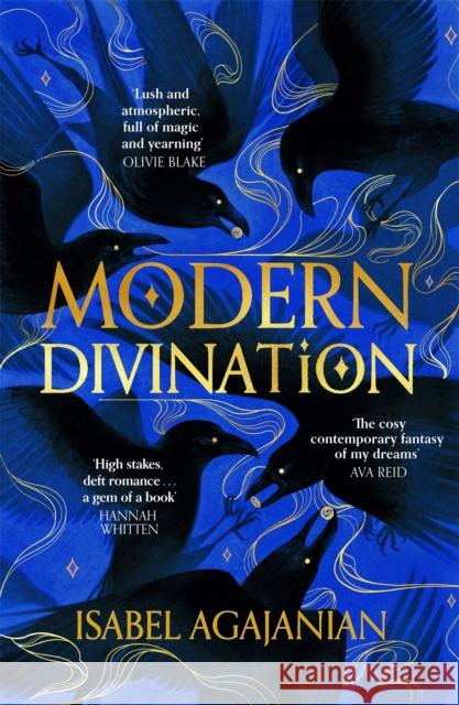 Modern Divination Isabel Agajanian 9781035049998 Pan Macmillan