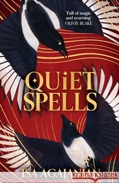 Quiet Spells Isa Agajanian 9781035050031 Pan Macmillan