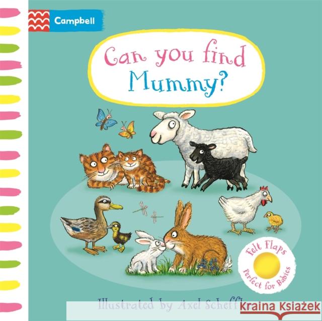 Can you Find Mummy? Campbell Books 9781035054008 Pan Macmillan