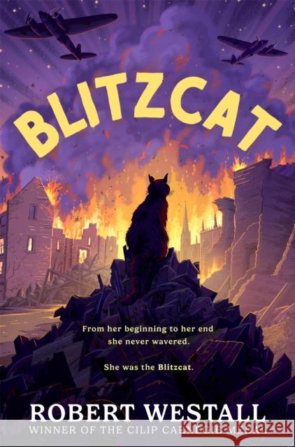 Blitzcat Robert Westall 9781035058334