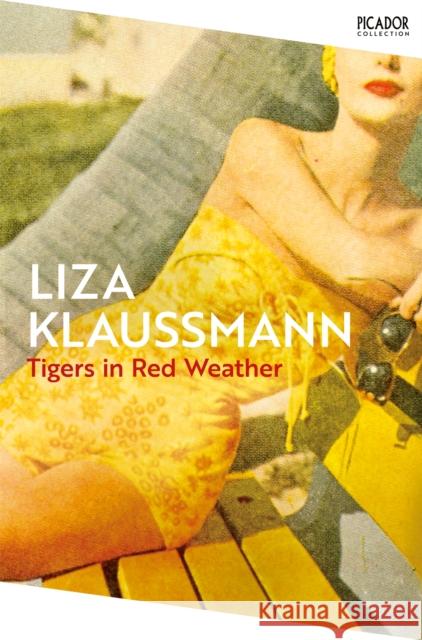 Tigers in Red Weather Liza Klaussmann 9781035060269