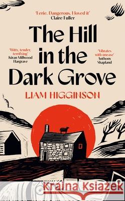 The Hill in the Dark Grove Liam Higginson 9781035069439
