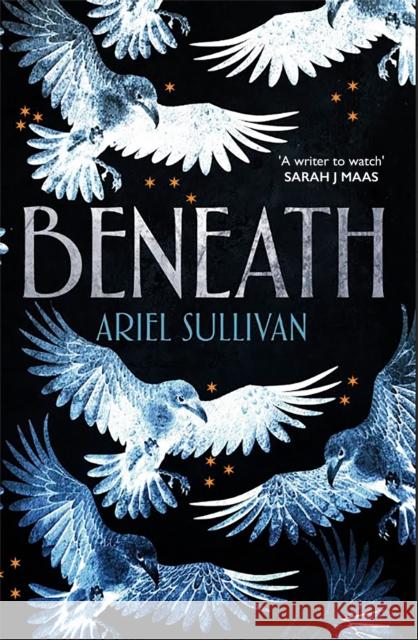 Beneath Ariel Sullivan 9781035072309 Pan Macmillan