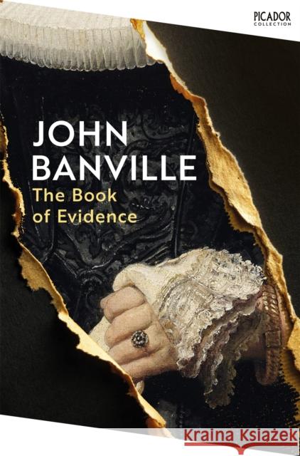 The Book of Evidence John Banville 9781035076796