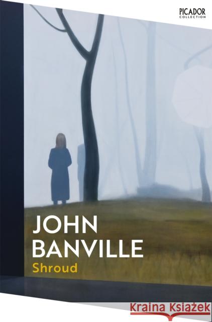 Shroud John Banville 9781035076857