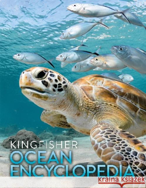 The Kingfisher Ocean Encyclopedia Kingfisher 9781035078356