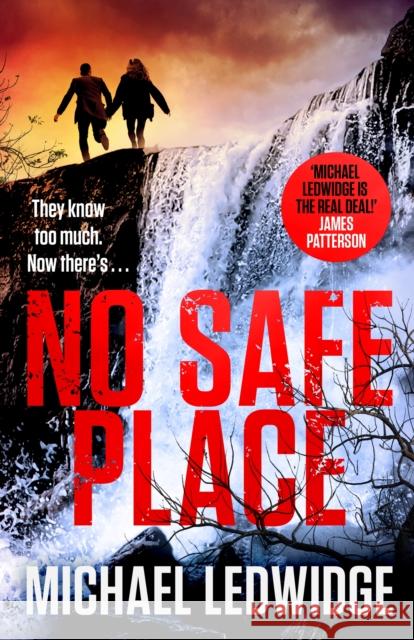 No Safe Place Michael Ledwidge 9781035404384