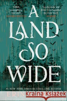 A Land So Wide: A breathtaking, deliciously dark fairy tale from #1 New York Times and USA Today bestselling author Erin A. Craig Erin A. Craig 9781035411085