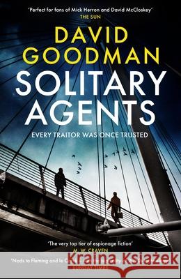 Solitary Agents David Goodman 9781035434145 Headline Publishing Group