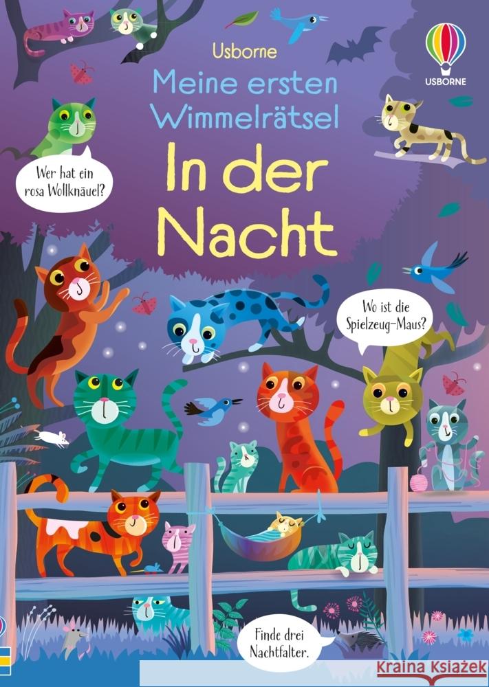 Meine ersten Wimmelrätsel: In der Nacht Robson, Kirsteen 9781035704354
