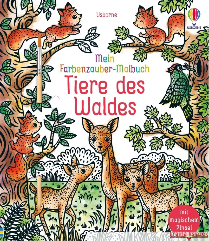 Mein Farbenzauber-Malbuch: Tiere des Waldes Cole, Brenda 9781035704767
