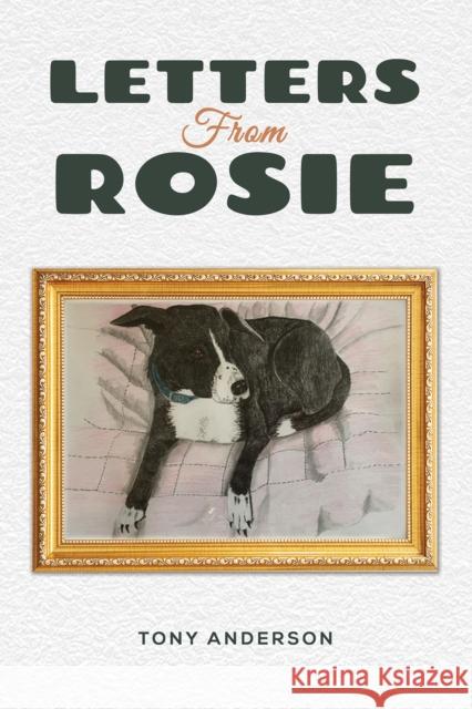 Letters from Rosie Tony Anderson 9781035803927 Austin Macauley Publishers