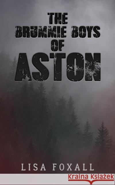 The Brummie Boys of Aston Lisa Foxall 9781035812479