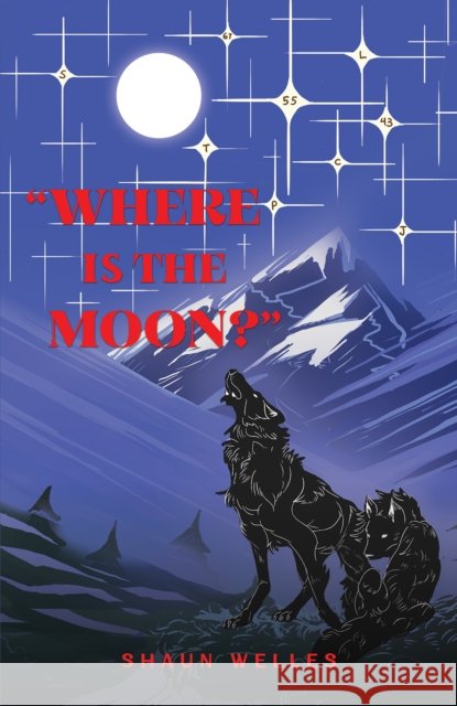 Where is the Moon? Shaun Welles 9781035820863