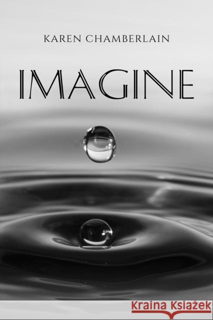 Imagine Karen Chamberlain 9781035823178 Austin Macauley Publishers