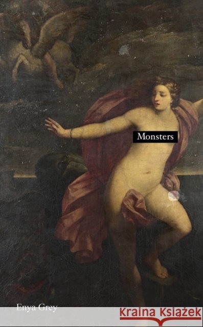 Monsters Enya Grey 9781035823529