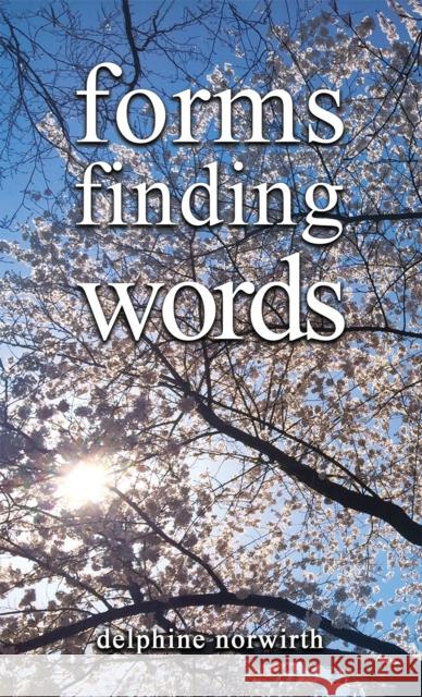 forms finding words delphine norwirth 9781035824052 Austin Macauley Publishers