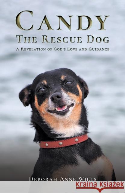 Candy the Rescue Dog: A Revelation of God’s Love and Guidance Deborah Anne Wills 9781035842407