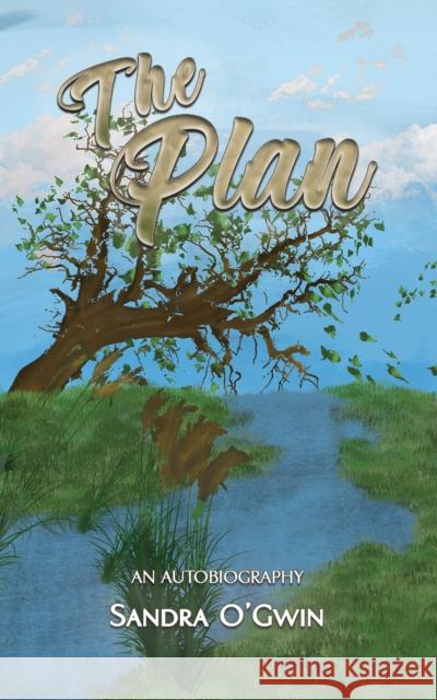 The Plan Sandra O'Gwin 9781035868162
