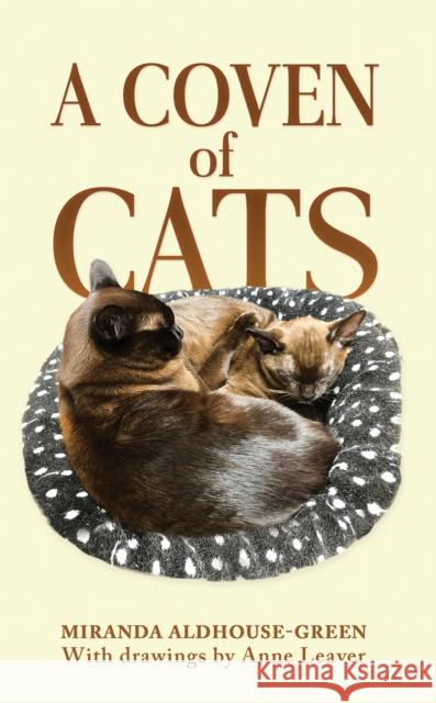 A Coven of Cats Miranda Aldhouse-Green 9781035876341