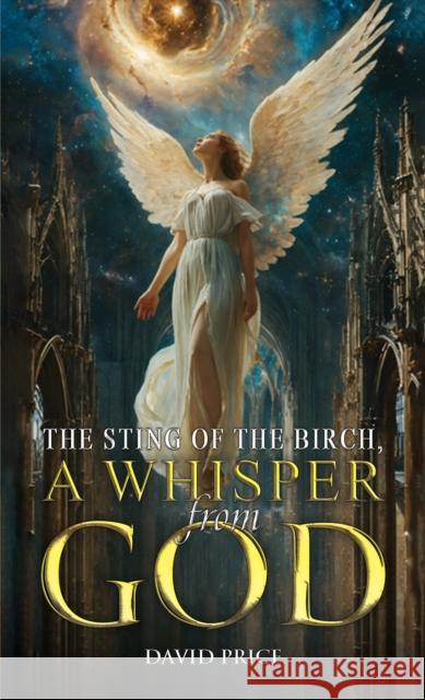 The Sting of the Birch, a Whisper from God David Price 9781035878307