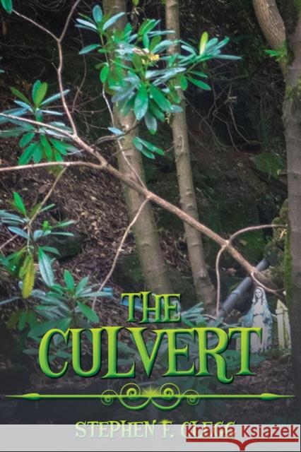 The Culvert Stephen F. Clegg 9781035881550