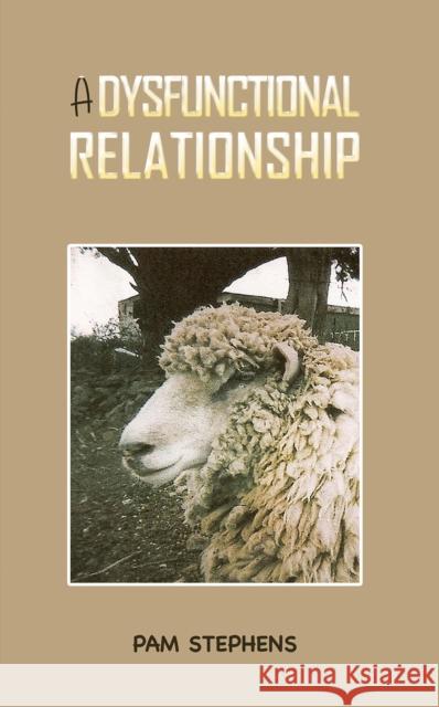 A Dysfunctional Relationship Pam Stephens 9781035894475