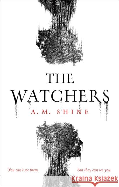 The Watchers: a spine-chilling Gothic horror novel A.M. Shine 9781035903801 Bloomsbury Publishing PLC