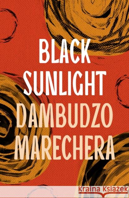 Black Sunlight Dambudzo Marechera 9781035906161 Bloomsbury Publishing PLC